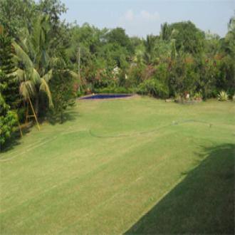 Alibaugh Bungalow With Swimming Pool, Alibaug 2